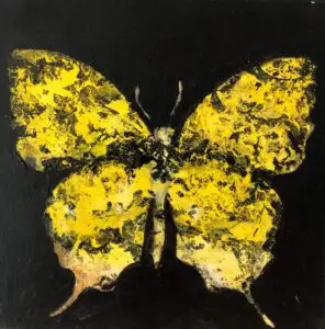 butterflies1-13