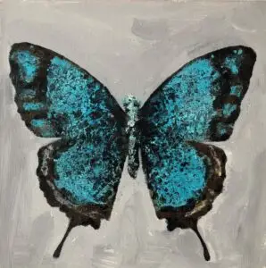 butterflies1-14