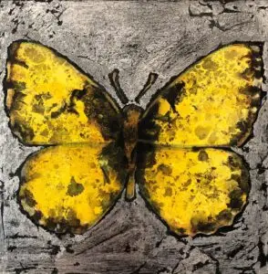 butterflies1-15