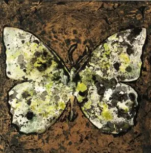 butterflies1-16