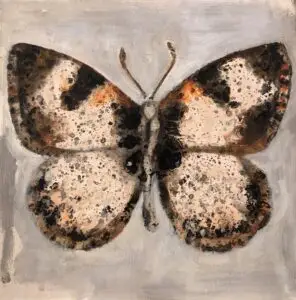 butterflies1-18