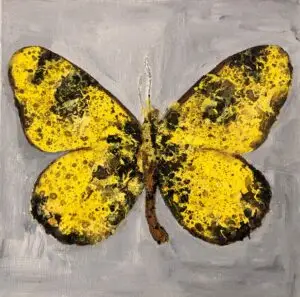 butterflies1-20