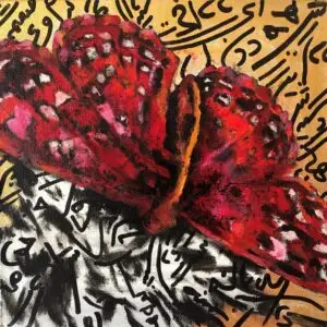 butterflies1-23