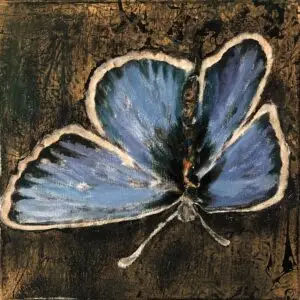 butterflies1-29
