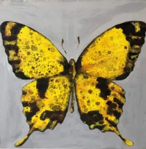 butterflies1-33