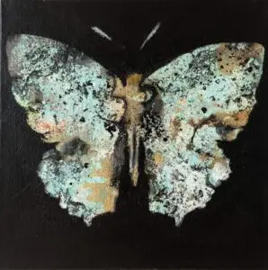 butterflies1-34