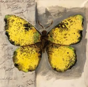 butterflies1-39