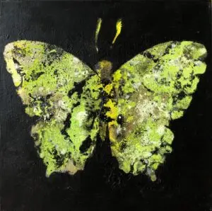 butterflies1-43