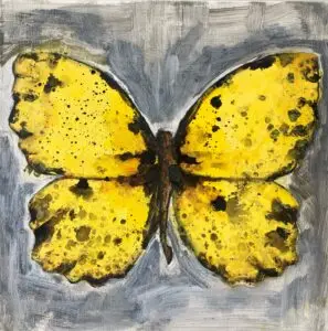 butterflies1-44
