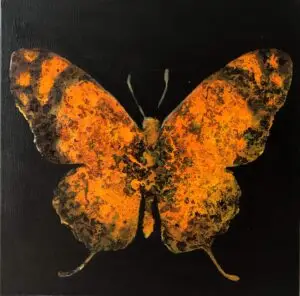 butterflies1-45