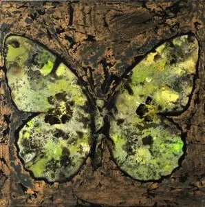 butterflies1-47