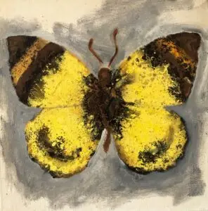 butterflies1-48