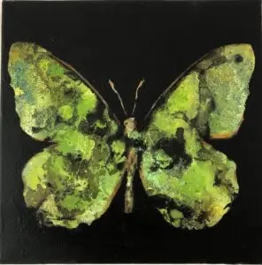 butterflies1-5
