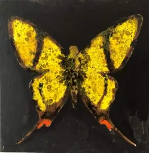 butterflies1-51