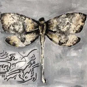 butterflies1-56