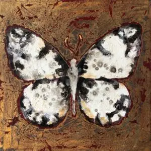 butterflies1-57