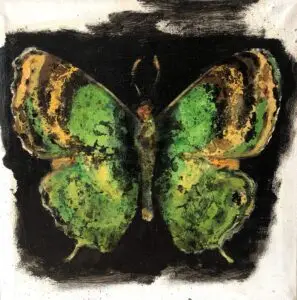 butterflies1-58
