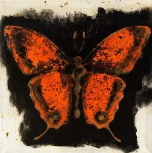 butterflies1-59