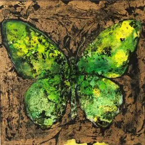 butterflies1-61