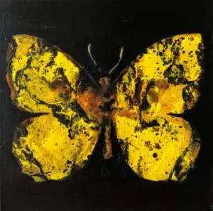 butterflies1-68