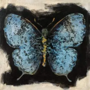 butterflies1-69
