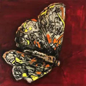 butterflies1-7