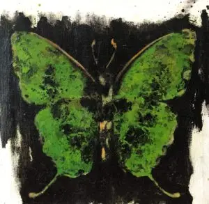 butterflies1-70