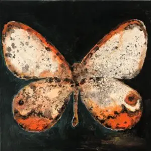 butterflies1-9